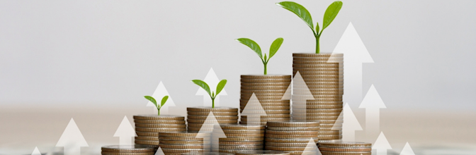 Finansal Özgürlük Nedir? Nereden Başlanmalı?